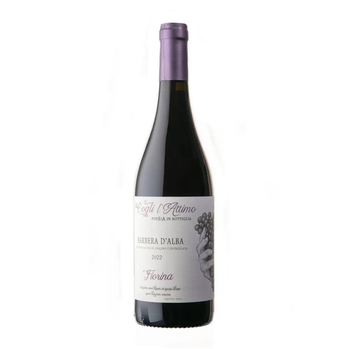 Cantina Cogli L'Attimo - Fiorina Barbera D'Alba 2023 DOC